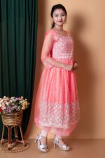 Net grown for girls full net frock Net grown for girls full net frock