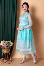 Net grown for girls full net frock Net grown for girls full net frock