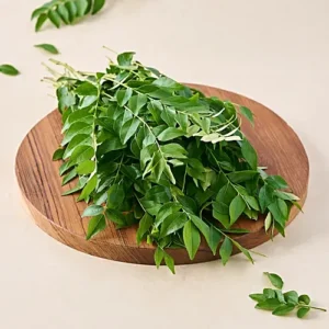 fresh! Curry Leaves