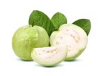 Fresh Guava Fresh Guava