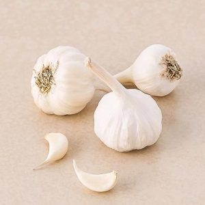 Garlic Lasun