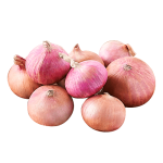 Fresh Onion Fresh Onion