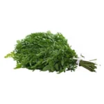 Sajana saga/Drumstick leaves/Moringa leaves