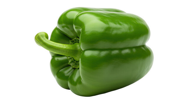 Fresh vegetable Shimla Mirch / Capsicum