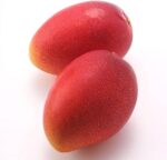 Zomal Japanese Mango