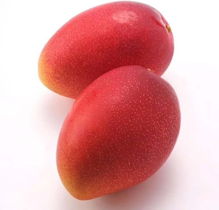 Zomal Japanese Mango