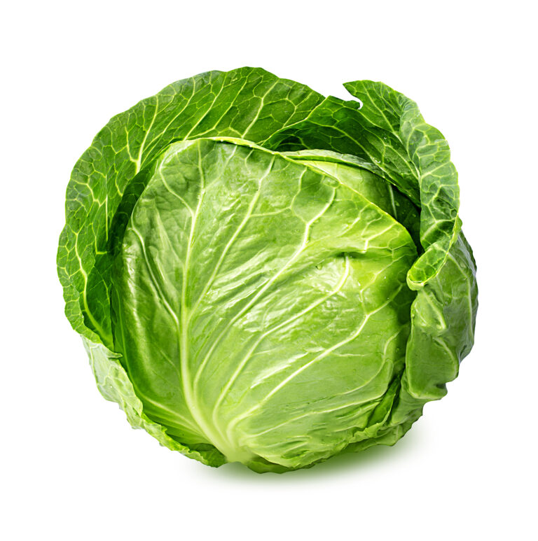 Cabbage 1 piece