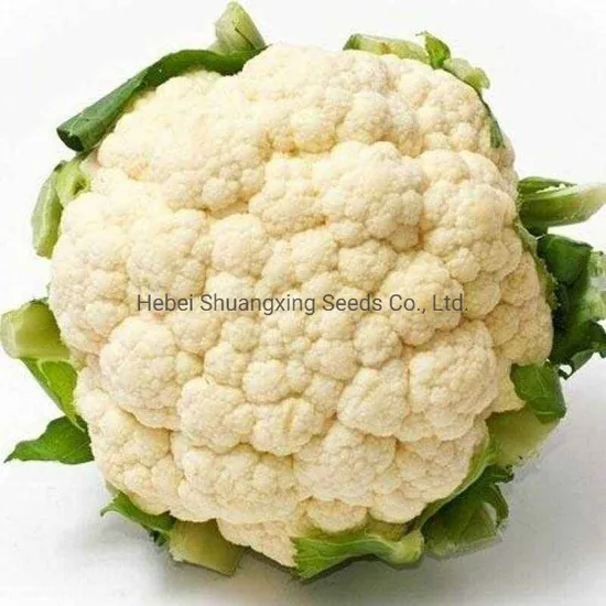 Cauliflower / fulgobi