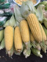 Fresh Plain Corn / Makka