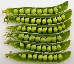 Peas / Green Matar