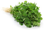 Methi fresh leaves