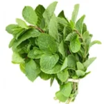 Mint leaves