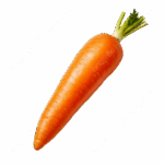 Gajar / Carrot