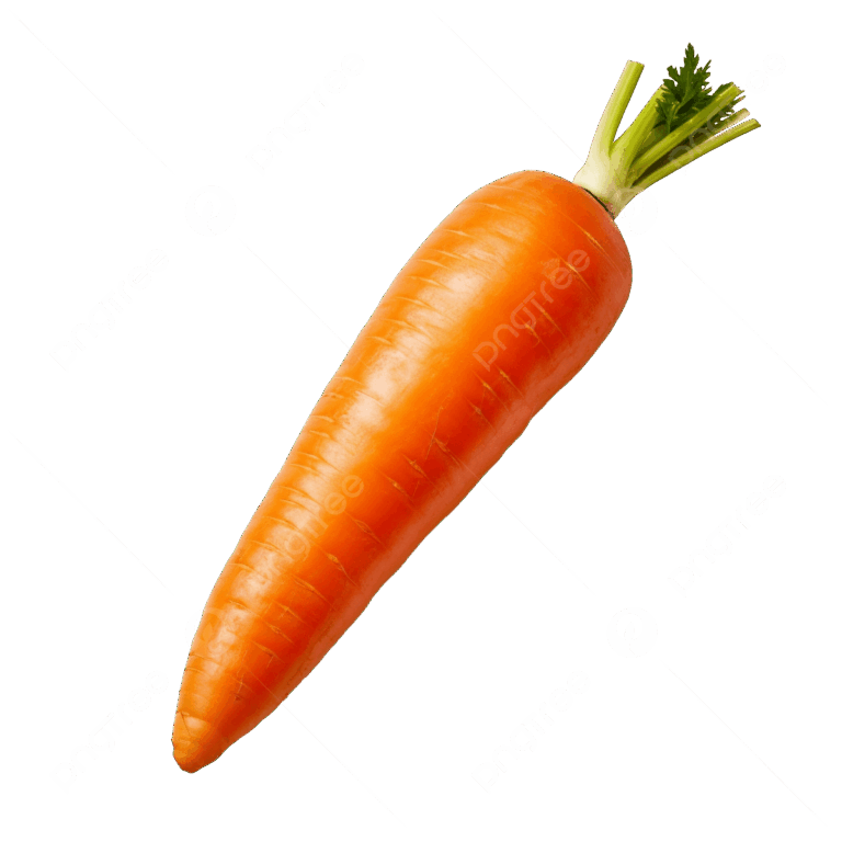 Gajar / Carrot