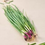 Spring Onion ll piaaja swanie - Image 3