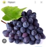 Black grapes No1 quality