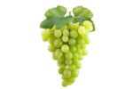 Green grapes good quality - Image 2