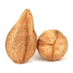 Coconut - Image 2