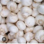 Mashroom button - Image 2